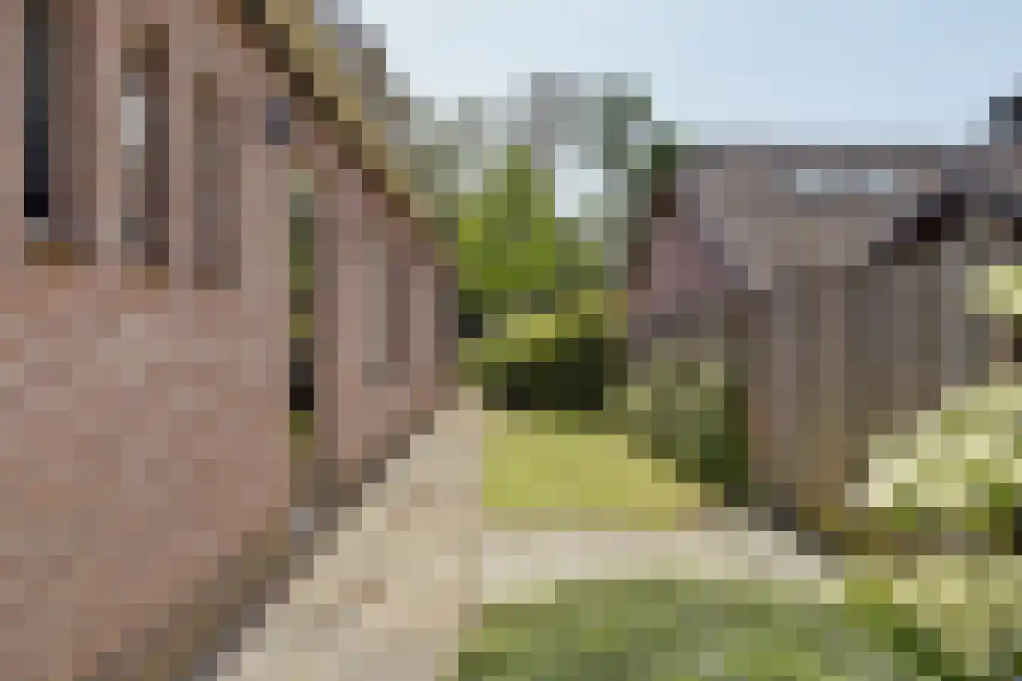 Middelvaart 48 Woudrichem thumbnail 52