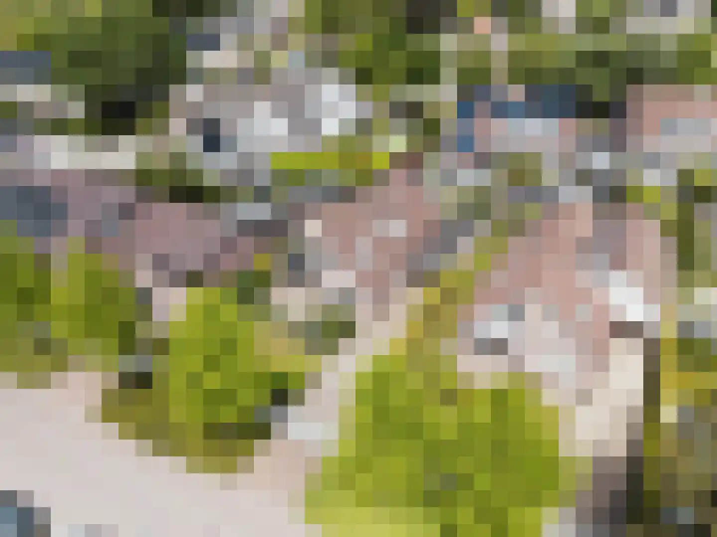 Middelvaart 48 Woudrichem thumbnail 64