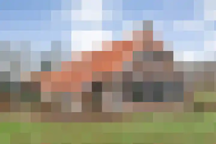Middelveenseweg 12 Zuidwolde