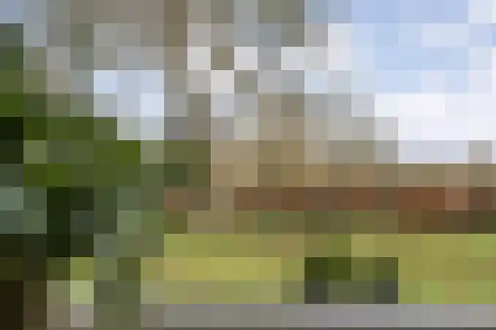 Middelveenseweg 12 Zuidwolde thumbnail 20