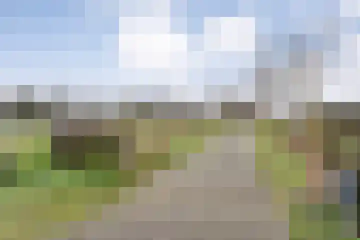 Middelveenseweg 12 Zuidwolde thumbnail 5