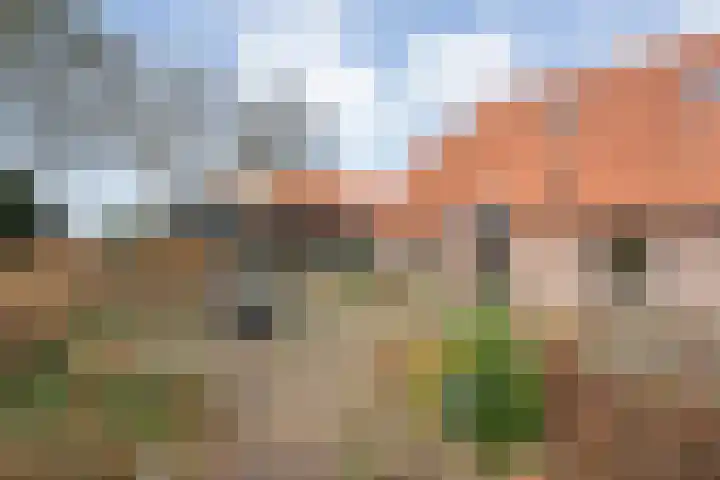 Middelveenseweg 12 Zuidwolde thumbnail 57