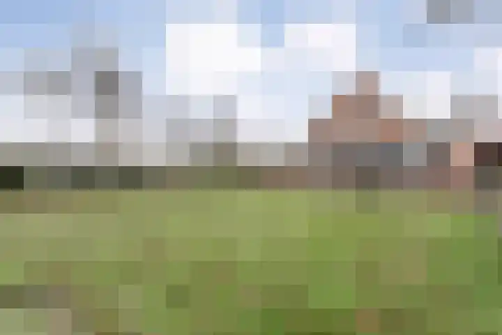 Middelveenseweg 12 Zuidwolde thumbnail 58