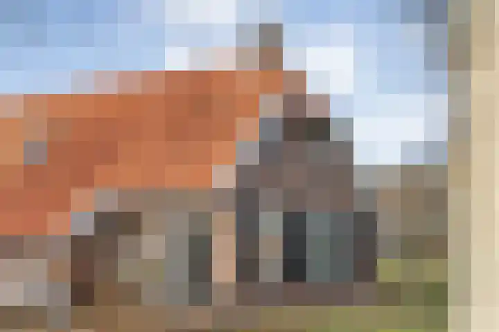 Middelveenseweg 12 Zuidwolde thumbnail 61