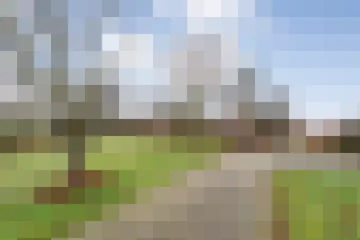 Middelveenseweg 12 Zuidwolde thumbnail 67