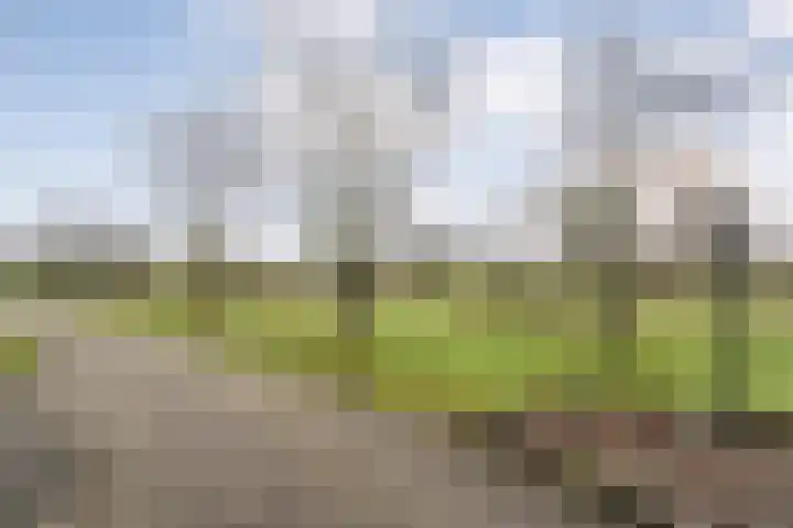Middelveenseweg 12 Zuidwolde thumbnail 68