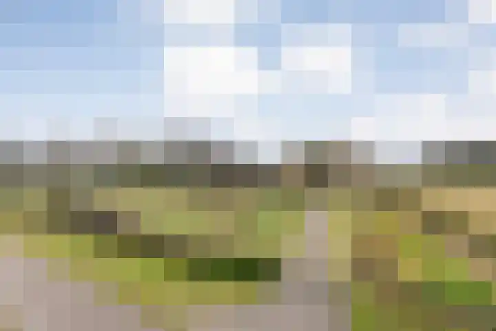 Middelveenseweg 12 Zuidwolde thumbnail 69