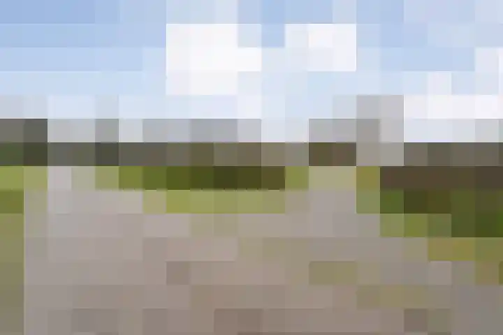 Middelveenseweg 12 Zuidwolde thumbnail 71
