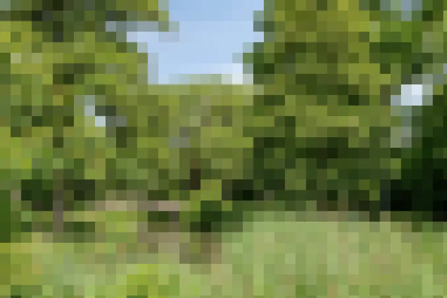 Middelveld 110 Druten thumbnail 32