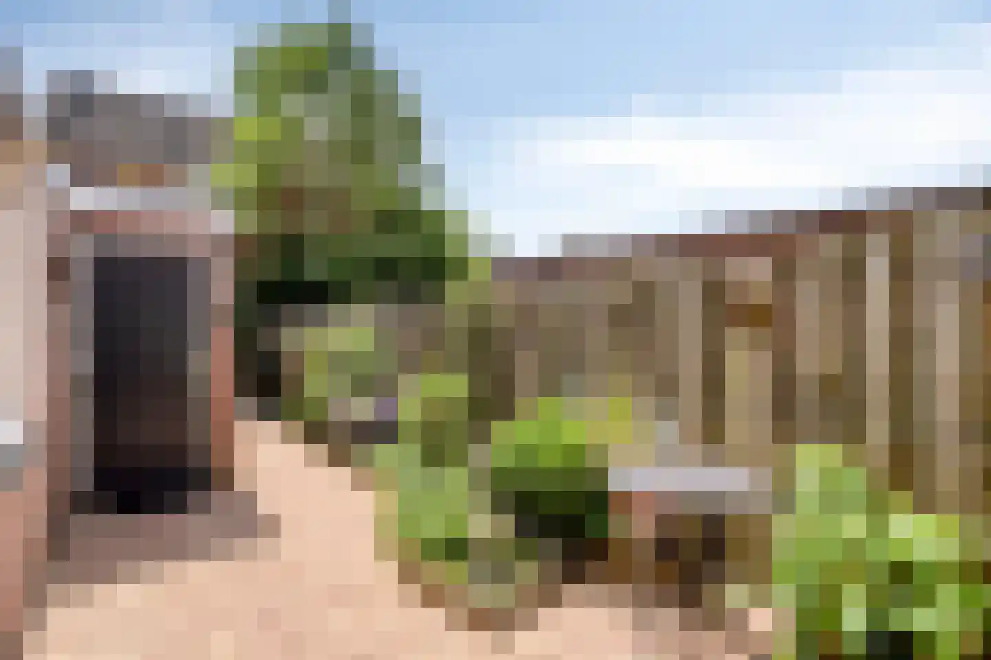 Middelveld 110 Druten thumbnail 7