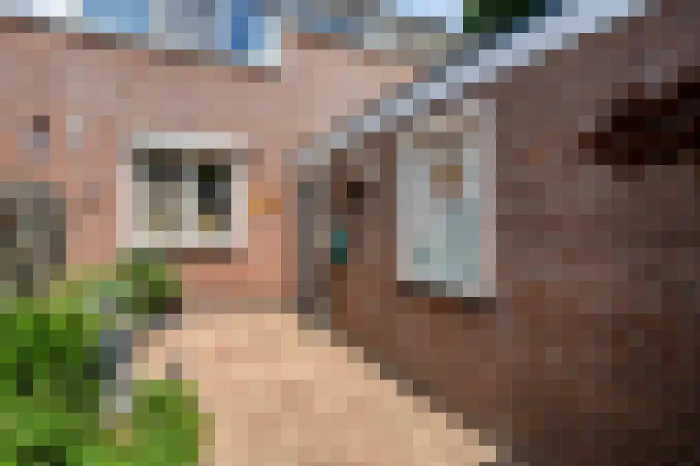 Middelveld 110 Druten thumbnail 8
