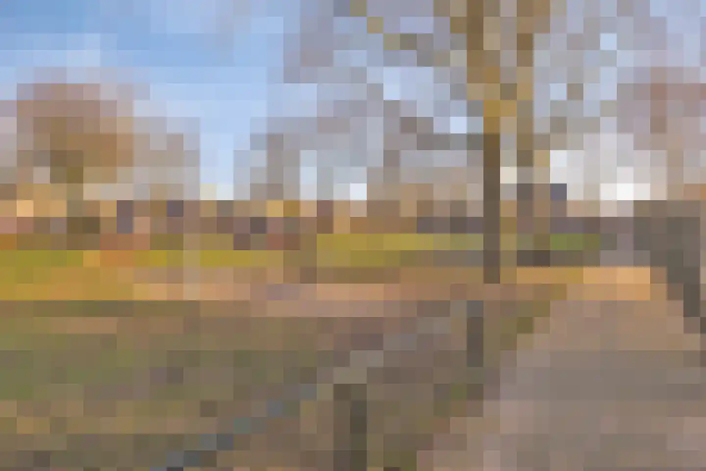 Middelveld 22 Zeeland thumbnail 34