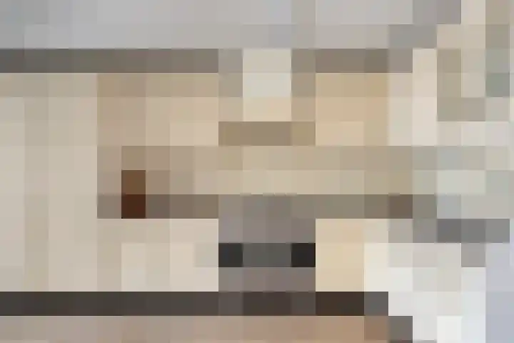 Middelveld 23 Zeeland thumbnail 14