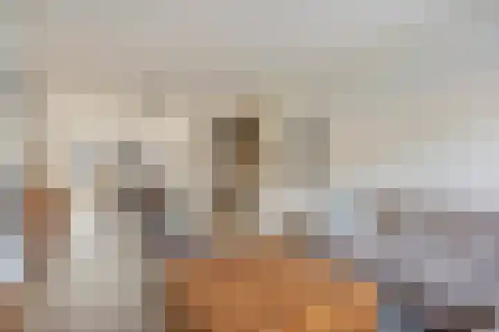 Middelveld 23 Zeeland foto 2