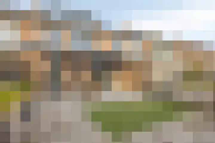 Middelveld 23 Zeeland thumbnail 30