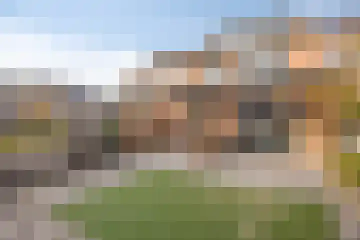 Middelveld 23 Zeeland thumbnail 4