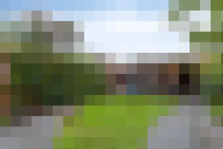 Middelveld 24 Zeeland thumbnail 4