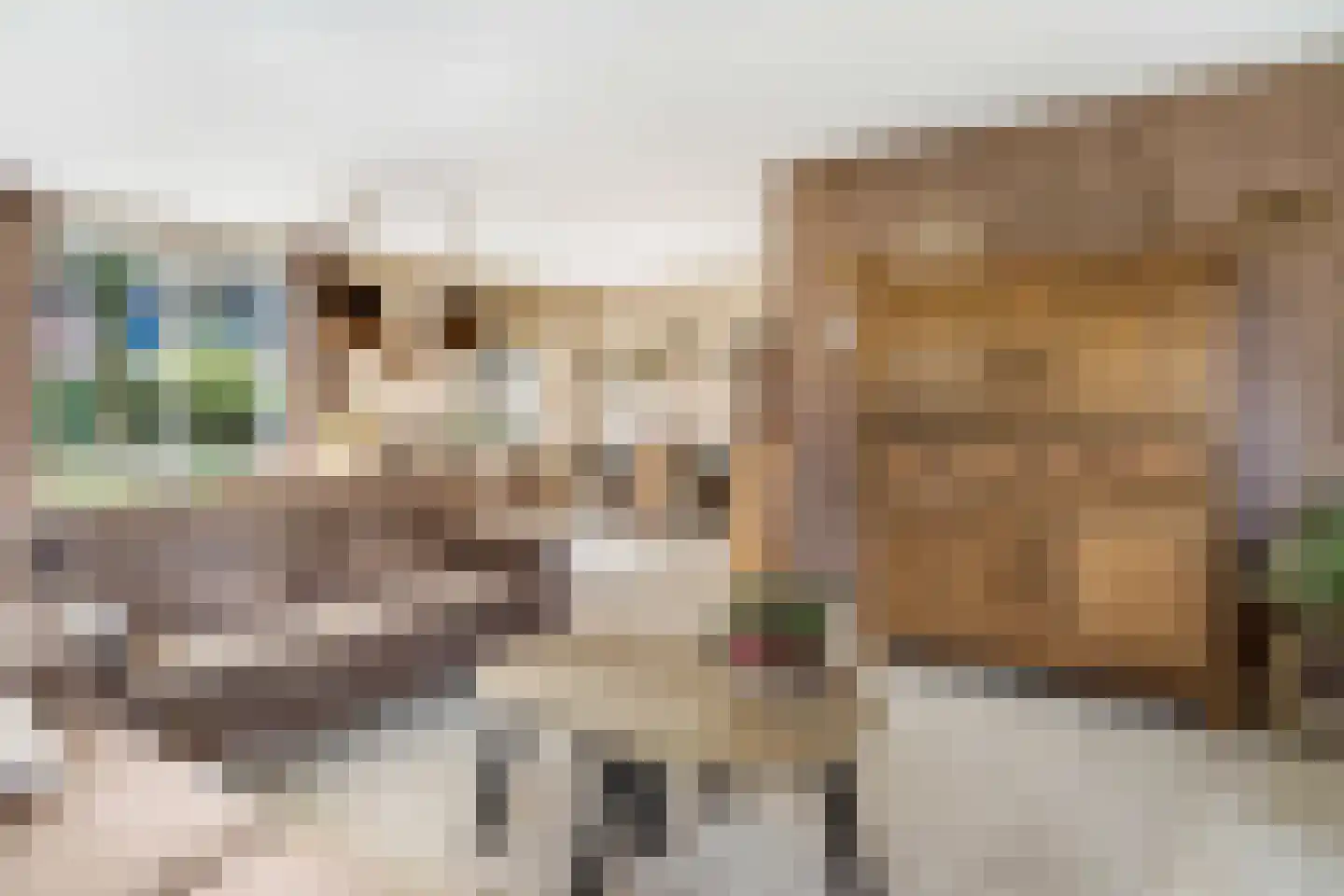 Middelveld 3 Ochten thumbnail 16