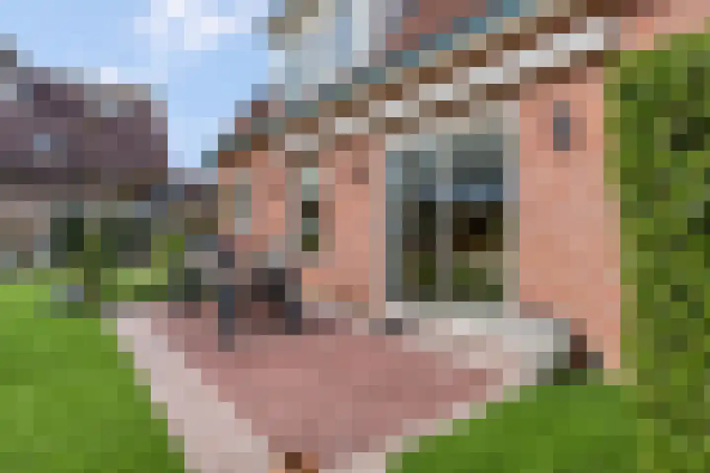 Middelveld 3 Ochten thumbnail 40