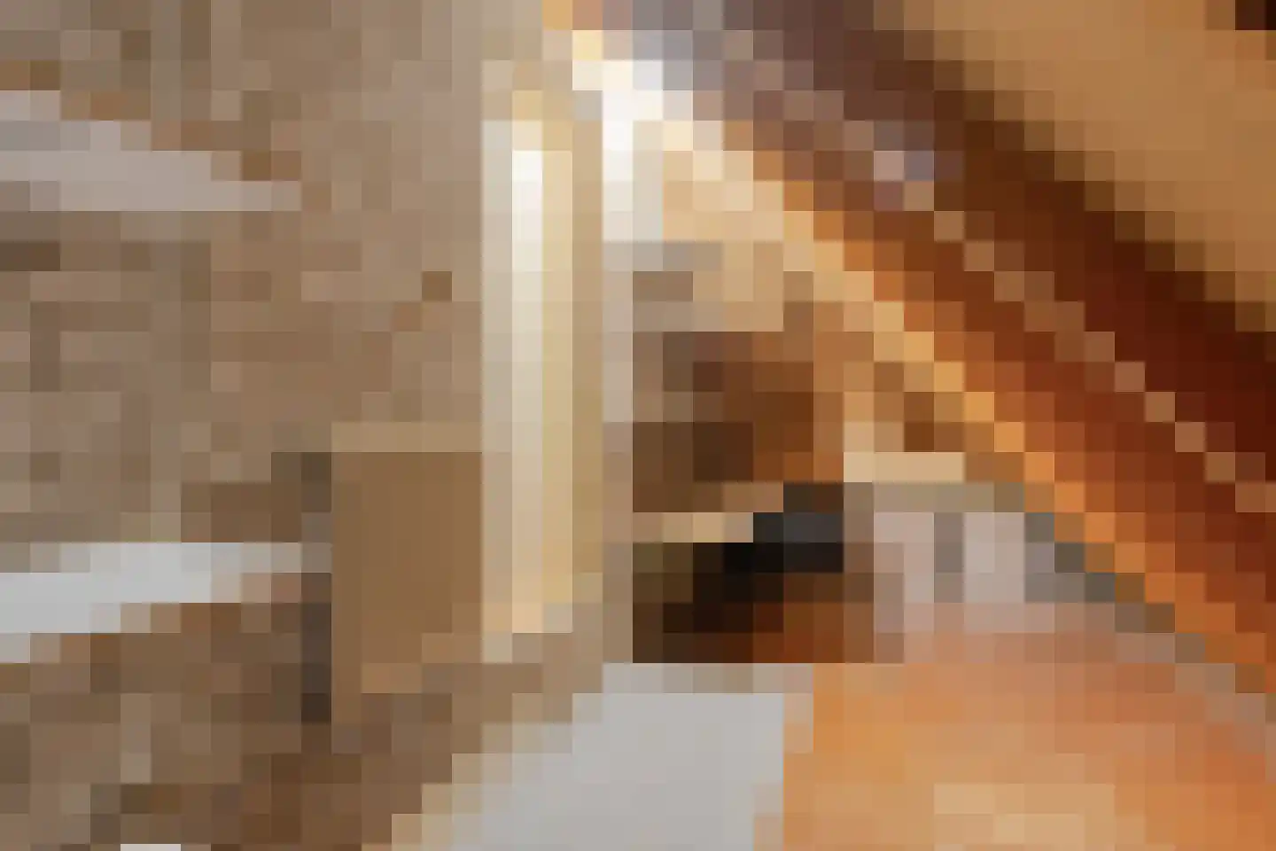 Middelveld 34 Druten thumbnail 36