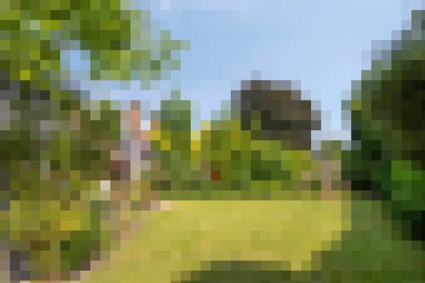 Middelveld 34 Druten thumbnail 46