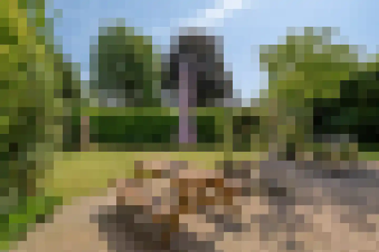 Middelveld 34 Druten thumbnail 47