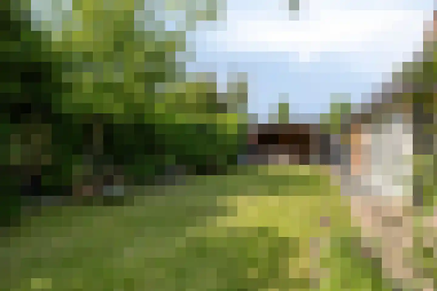 Middelveld 34 Druten thumbnail 48