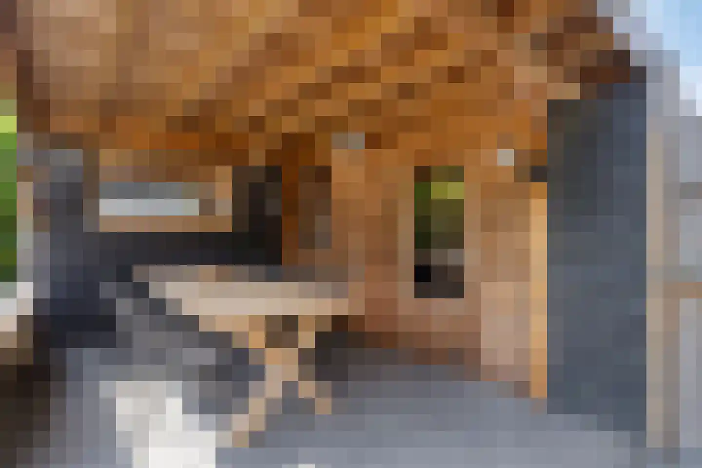 Middelveld 34 Druten thumbnail 50