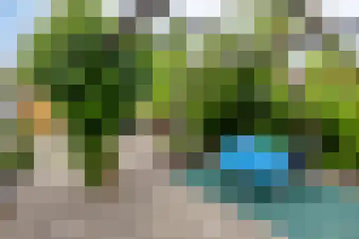 Middelveld 7 Zeeland thumbnail 4