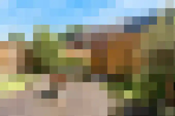 Middelven 7 Zaandam thumbnail 28