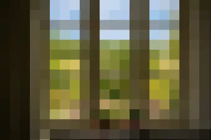 Middelwaard 9 Horssen thumbnail 10