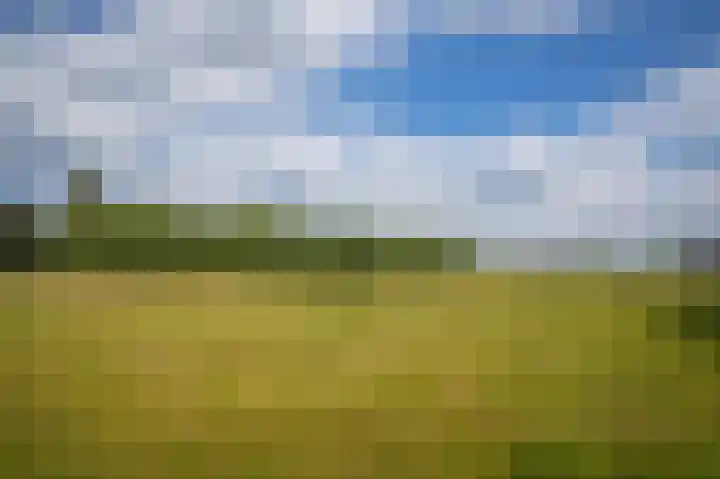 Middelwaard 9 Horssen thumbnail 11