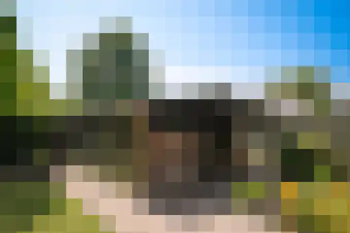 Middelwaard 9 Horssen thumbnail 33