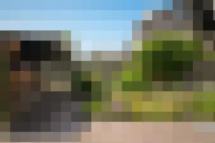 Middelwaard 9 Horssen thumbnail 35