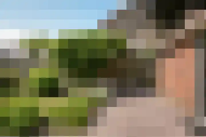Middelwaard 9 Horssen thumbnail 37