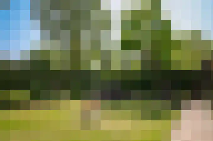 Middelwaard 9 Horssen thumbnail 4