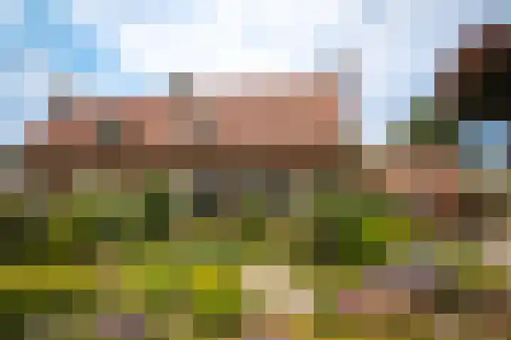 Middelwaard 9 Horssen thumbnail 43