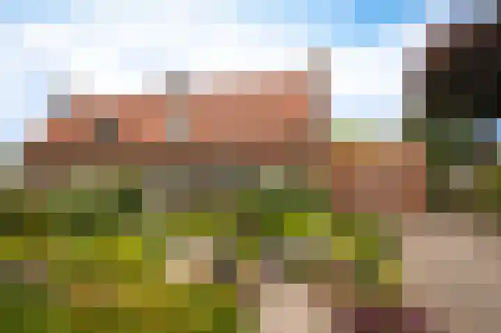 Middelwaard 9 Horssen thumbnail 46
