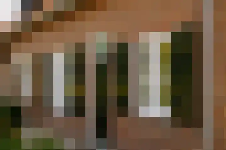 Middelwaard 9 Horssen thumbnail 5