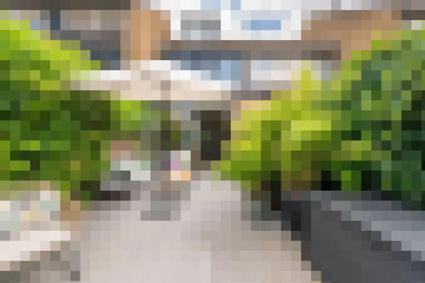 Middelwaarde 17 Laren thumbnail 36