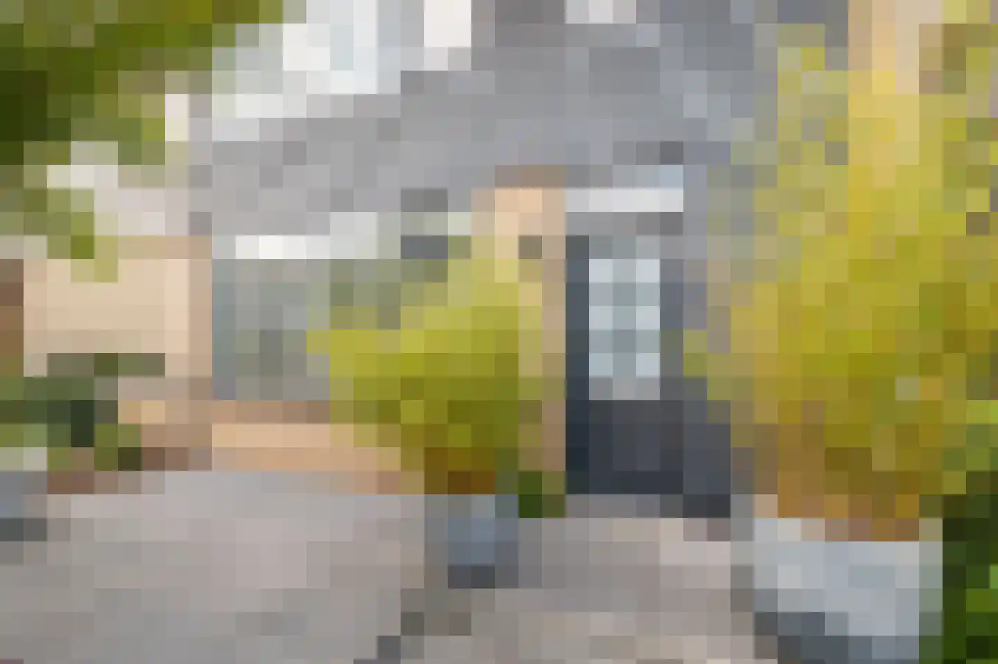 Middelwaarde 17 Laren thumbnail 4