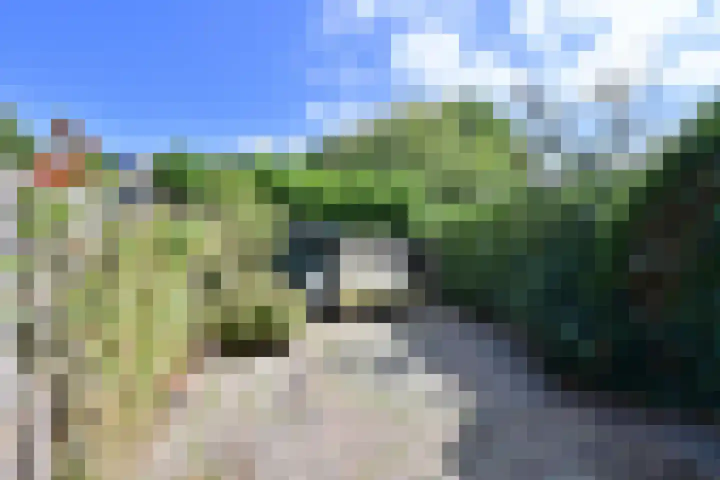 Middelwaarde 4 Laren thumbnail 13