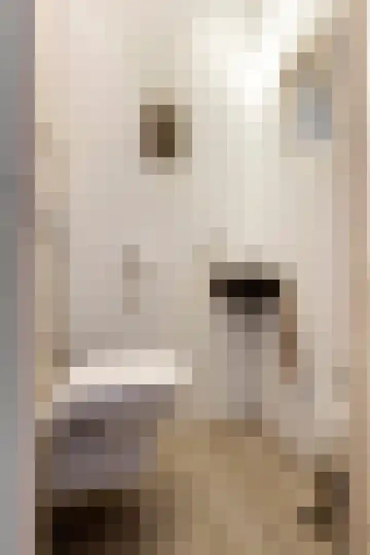 Middelweg 12 Tricht thumbnail 16