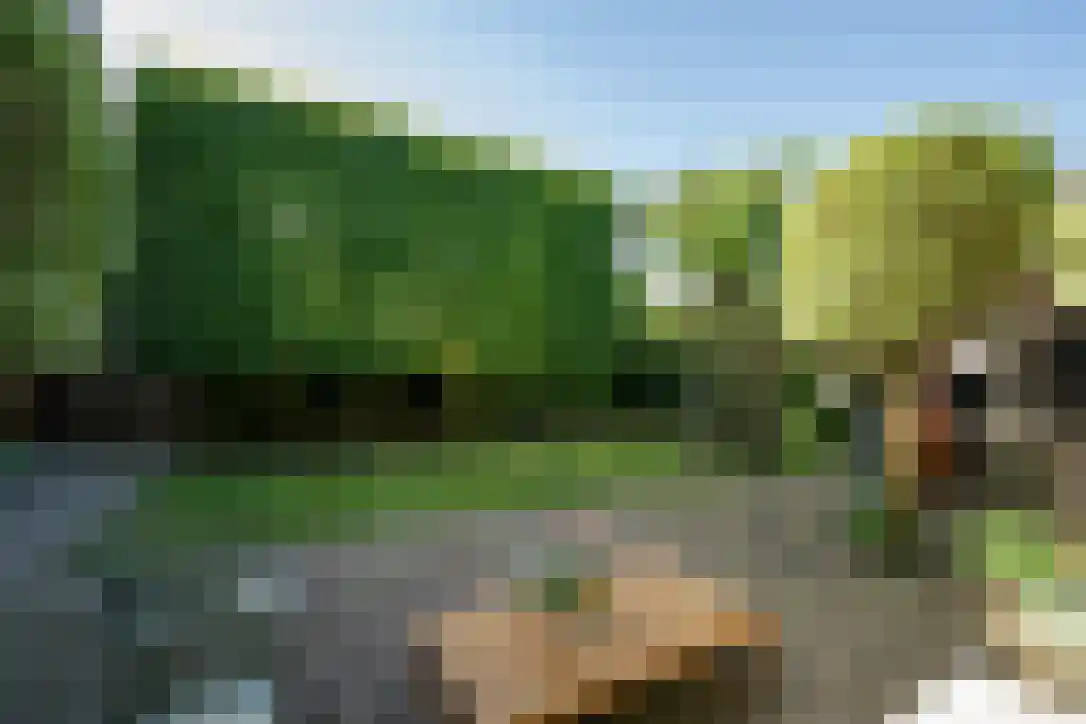 Middelweg 14 c Asperen thumbnail 13