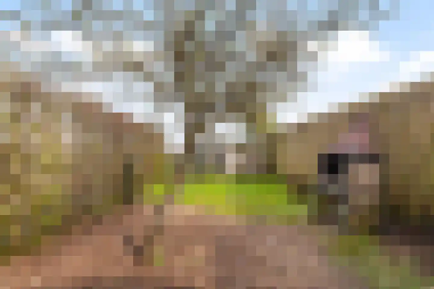 Middelweg 171 Nieuw-Lekkerland thumbnail 33