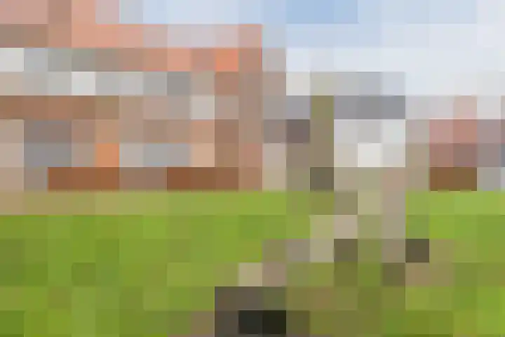 Middelweg 2 Asperen thumbnail 15