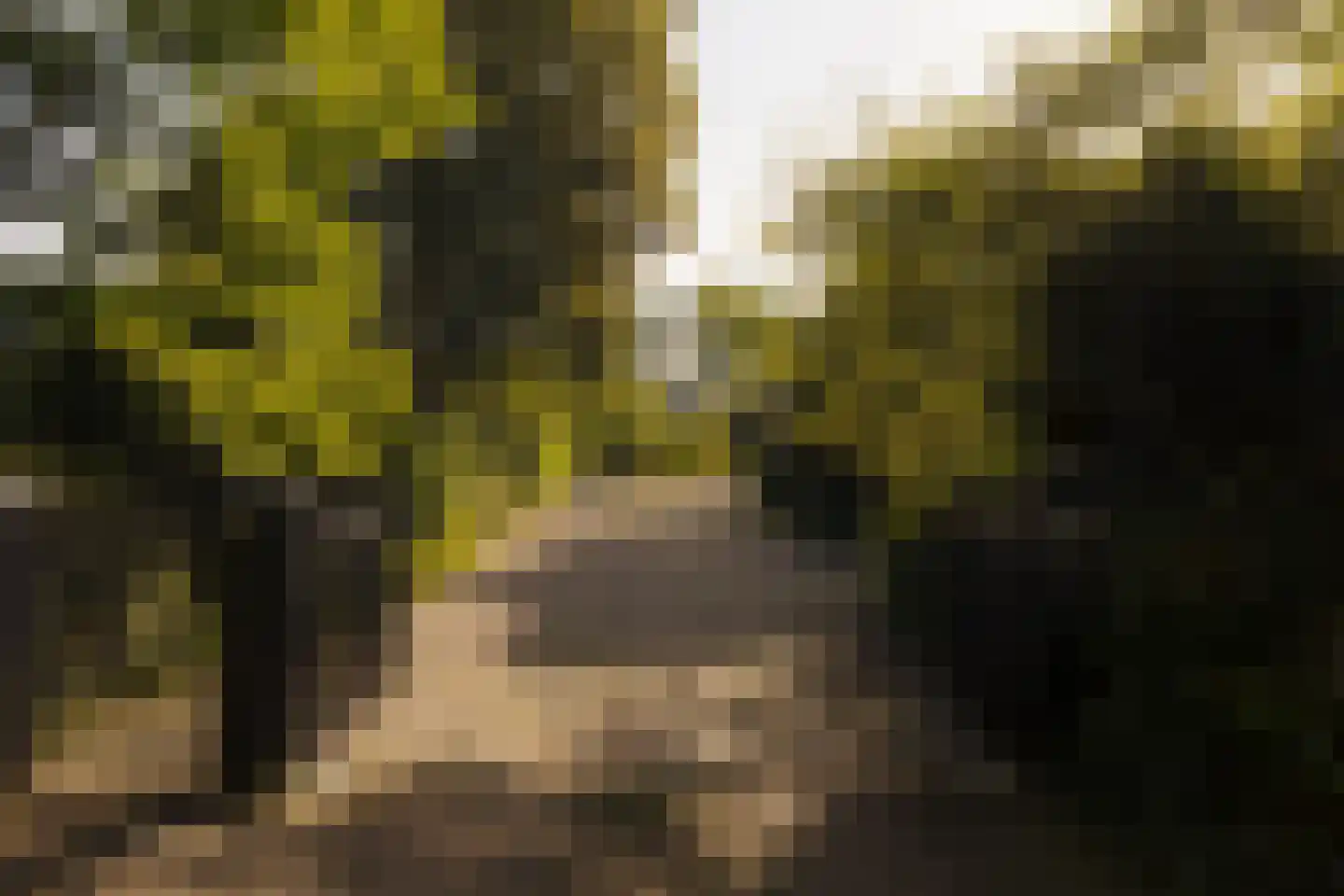 Middelweg 2 Den Haag thumbnail 100