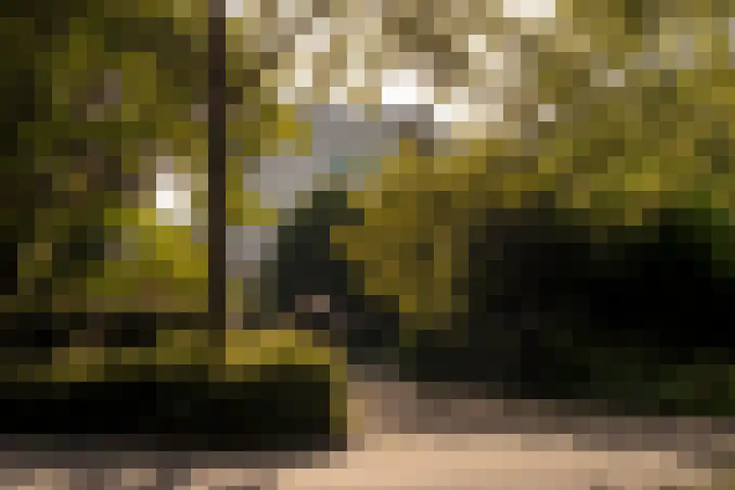 Middelweg 2 Den Haag thumbnail 101