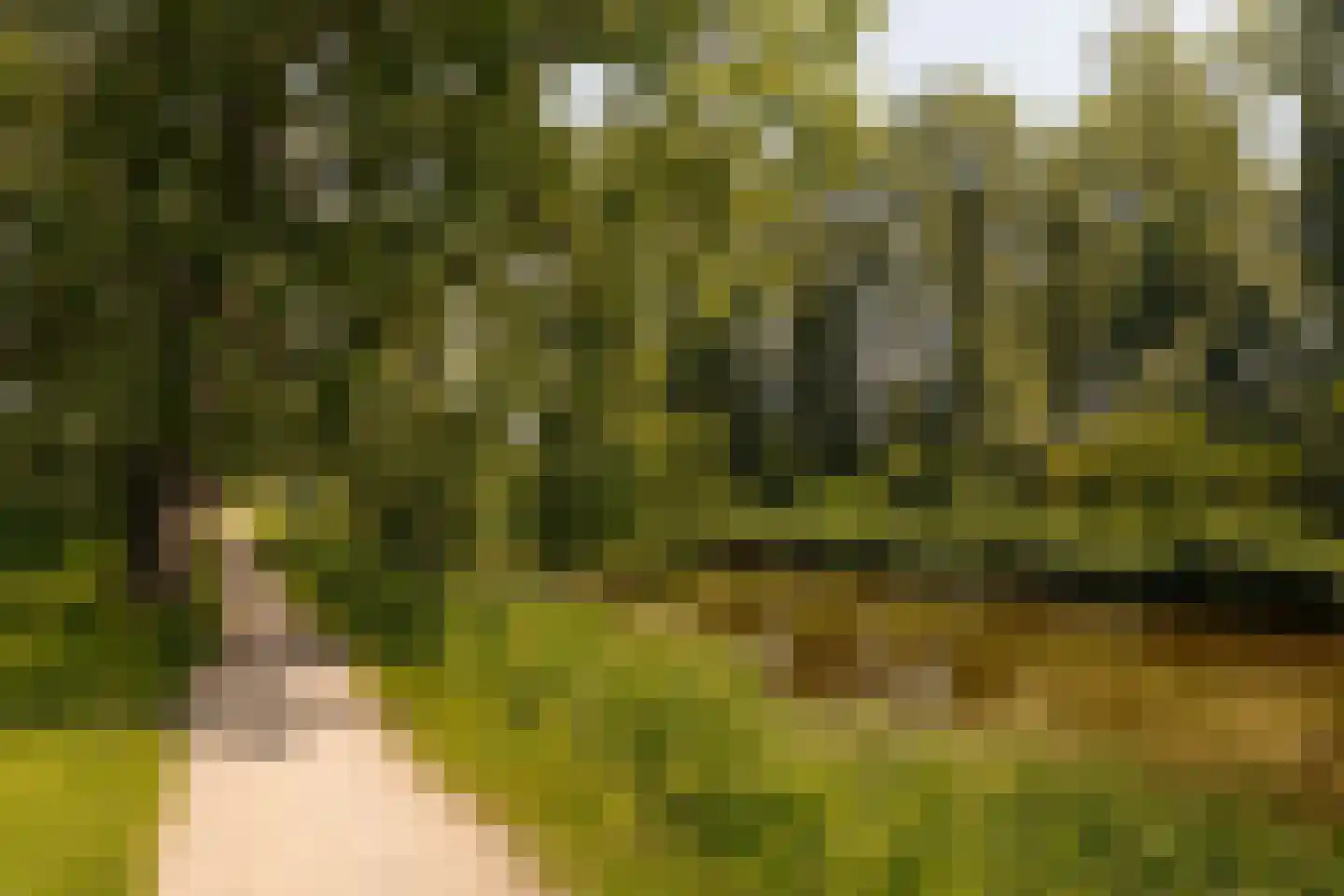 Middelweg 2 Den Haag thumbnail 108