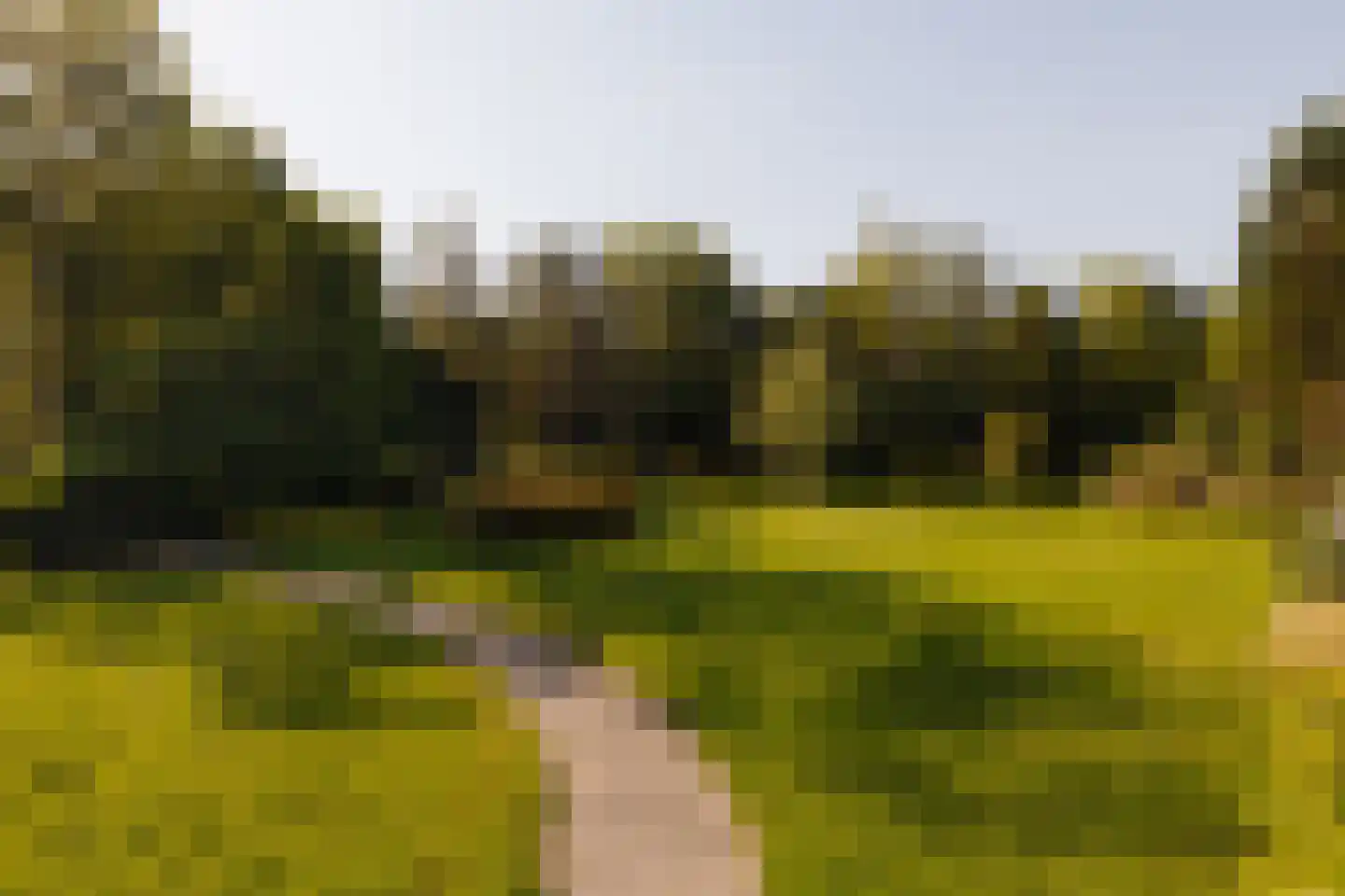 Middelweg 2 Den Haag thumbnail 4